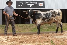 J7 HEIR AWSOME 🇧🇷