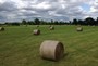 Hay Season